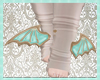 Brown-Mint  Feet Wings