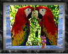 *2 sided parrots filler