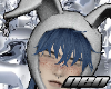 neo bunny in bluberri