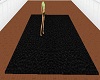 Black Carpet