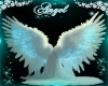 Aqua angel background