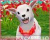 [FC] Baby lamb white