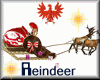 [JN] Reindeer Sledge Chr