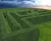 Dwarfbox Hedge Maze Sect