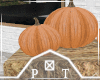 Fall Pumpkin Hay Bale