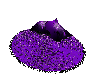 passionate rug purple