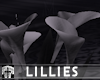 Mortis Lillies