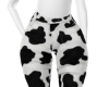SOBE PANT COW PRINT