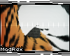 [x] Tiger Tail
