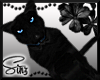 Lisbeth Witch Cat Salem