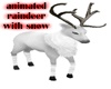 animated Raindeer w/snow