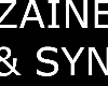 zaine and syn necklace