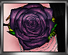 ~Purple Rose EyePatch~