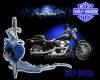Harley Davidson BLUE