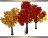 BIG AUTUM TREES