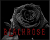 BlackRose Top