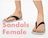 *Sandals #2 Female