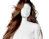 Caramel Hair