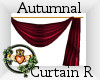 ~QI~ Autumnal Curtain R