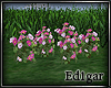 (ED1)Flowers-6