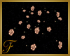 F: Floor Roses