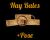 Hay Bales + Pose