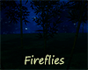 Starlight Firefly Bugs