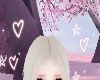 Heart & Stars