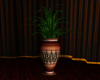 Ambrosia Vase Plant