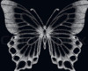dj black.buterflies71