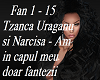 Tzanca Uraganu - Narcisa