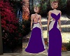 Purple and Silver Gown