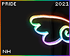 PRIDE Rainbow wings