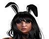 Sofia Bunny Ears Black