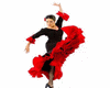dance flamenco solo derv