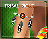 (RM)Tribal Tassel Right