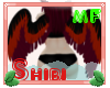 Harpi's Wings