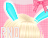 R!___Bunny Ears
