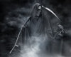 Reaper Picture