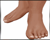 {R} Perfect Feet Model
