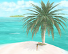 BR Private Island