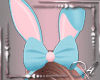 Sexy Bunny Bundle F 2022