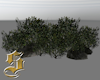 1602 Rocks & Bushes