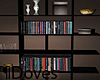 ¶D Modern Book Shelf