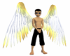 Gabriel's Golden Wings