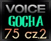 3R Voice Gocha