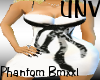 UNV~ Bmxxl Phantom