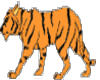 HW: Tiger
