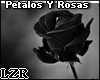 Black Rose & Petals Ani*
