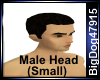 [BD] Male Head